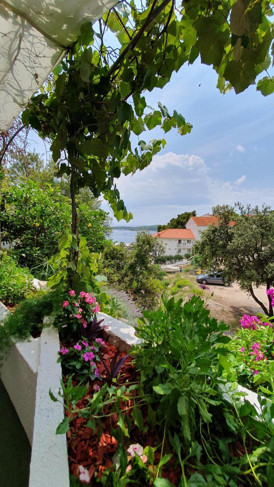Filis Hvar Town